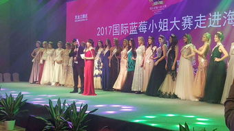 安陽設計策劃與全方位活動解決方案