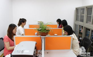 軟硬件開(kāi)發(fā)職場(chǎng)生存法則 從技能精進(jìn)到職業(yè)發(fā)展的全面指南